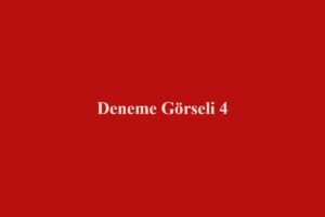 Deneme Yazısı 4