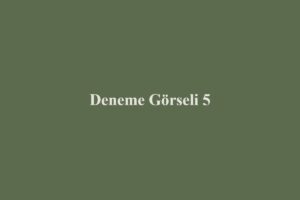 Deneme Yazısı 5